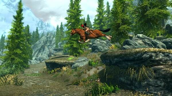 SkyrimSE (сборка 6.0)