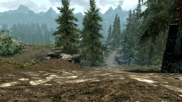 TESV 2020-12-31 21-05-52-60.jpg