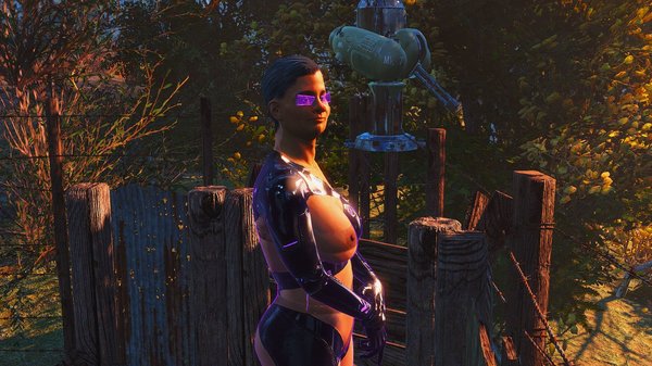 Поселенка на посту. Fallout-4 (Сборка 6.4)