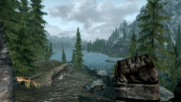 TESV 2020-12-13 15-35-51-66.jpg