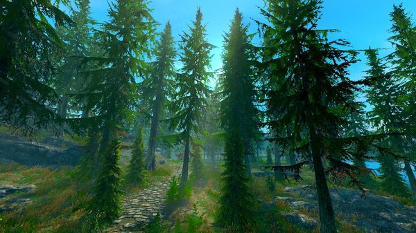 Пейзаж.. SkyrimSE (сборка 6.0)