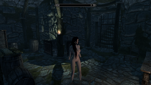 Elder Scrolls V  Skyrim Screenshot 2021.01.17 - 14.44.45.97.png