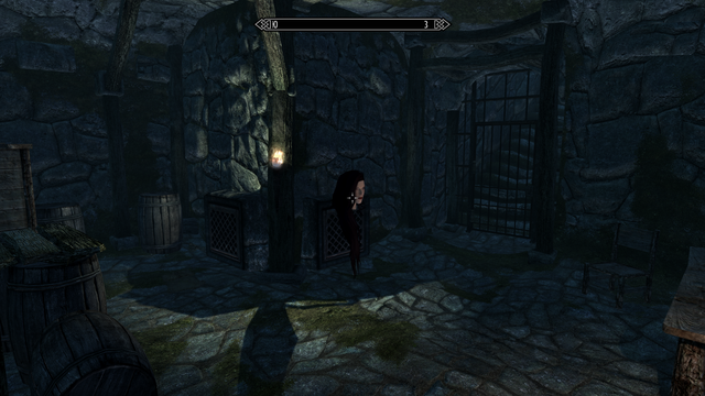 Elder Scrolls V  Skyrim Screenshot 2021.01.17 - 14.45.09.40.png