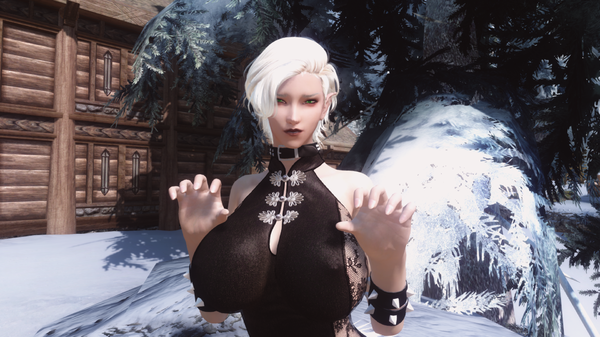 Skyrim Screenshot 2021.01.02 - 13.21.27.88.png