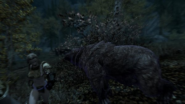 TESV 2021-01-02 17-11-08-96.jpg