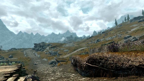 TESV 2021-01-31 18-18-37-05.jpg