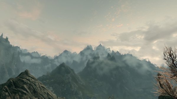 TESV 2021-01-31 18-36-53-45.jpg