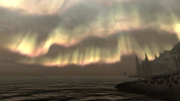 TESV 2021-01-07 16-02-15-12.jpg