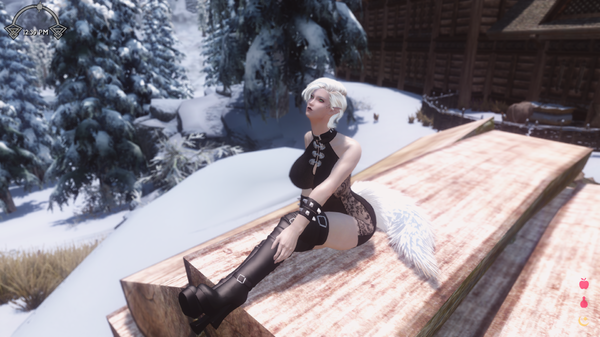 Skyrim Screenshot 2021.01.02 - 13.04.52.44.png