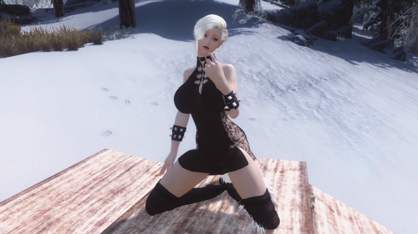 Skyrim Screenshot 2021.01.02 - 13.16.52.96.png