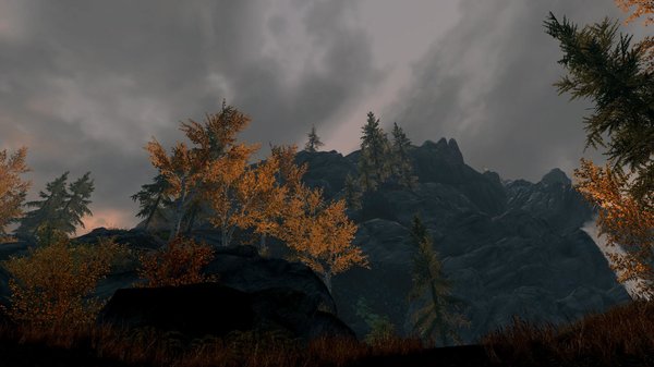 TESV 2021-01-09 16-08-35-70.jpg