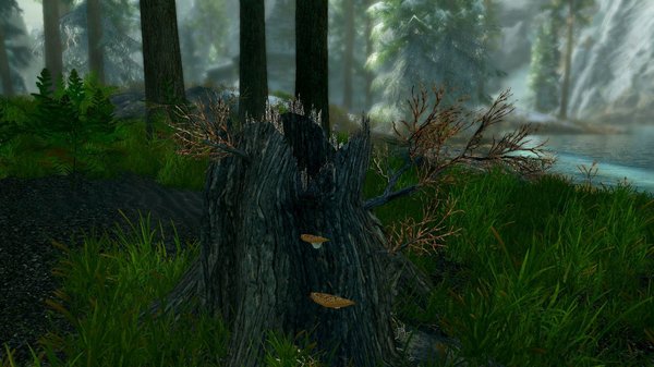 Пень.. SkyrimSE (сборка 6.0)