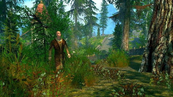 Рорик в Рорикстеде.  SkyrimSE (сборка 6.0)