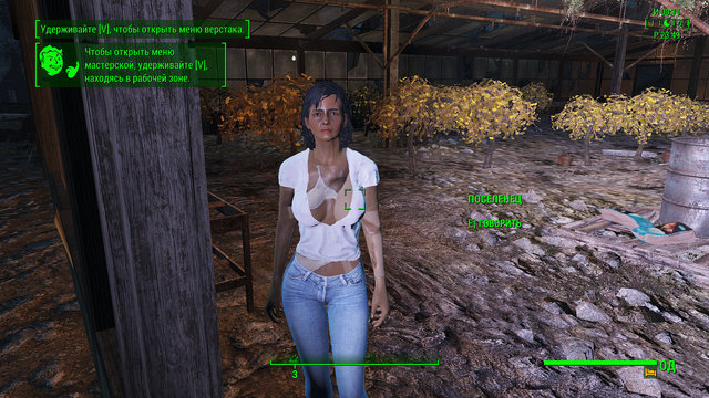 Fallout4 2021-02-14 23-49-24-547.jpg