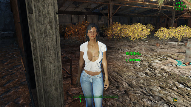 Fallout4 2021-02-14 23-52-31-249.jpg