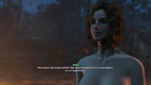 Fallout 4 Screenshot 2021.02.24 - 22.29.22.81.png