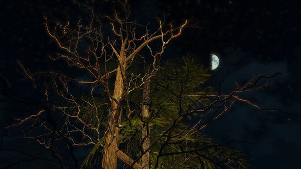 Ночной пейзаж.. Fallout-4 (Сборка 6.5)