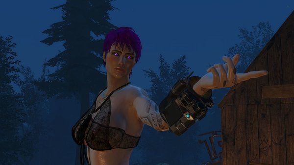 А ты играешь сборку Торна 6.4 на Fallout-4? ;)