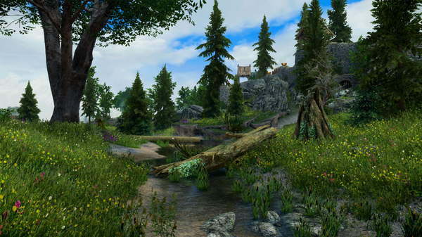 SkyrimSE - Зеленуха