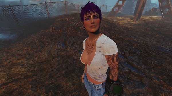 Американ герл ;) Fallout-4 (Сборка 6.5)