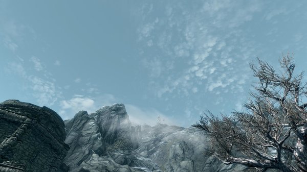 TESV 2021-02-22 16-50-32-59.jpg