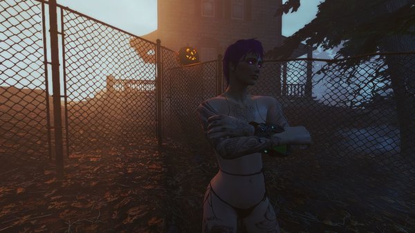 Fallout-4 (Сборка 6.5)