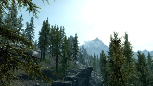 TESV 2021-02-28 15-52-47-38.jpg