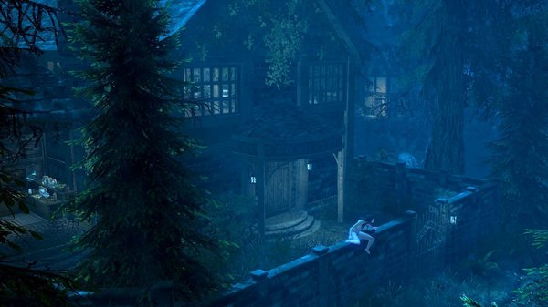 Дома Велены, и она сама на заборе..,