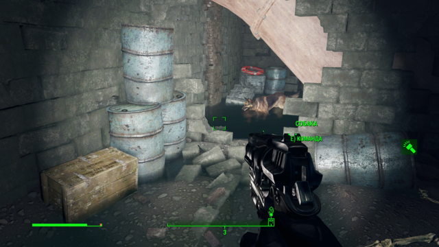 Снимок экрана (17).png