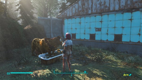 Fallout 4