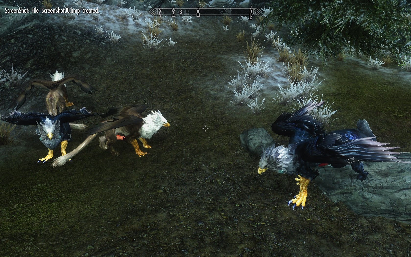 Грифоны в Скайриме