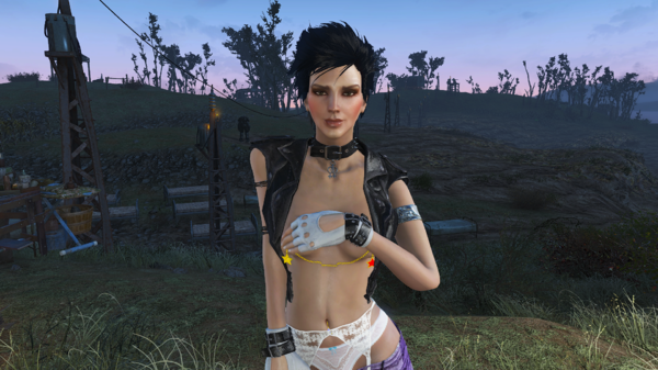 Паладин Данс.