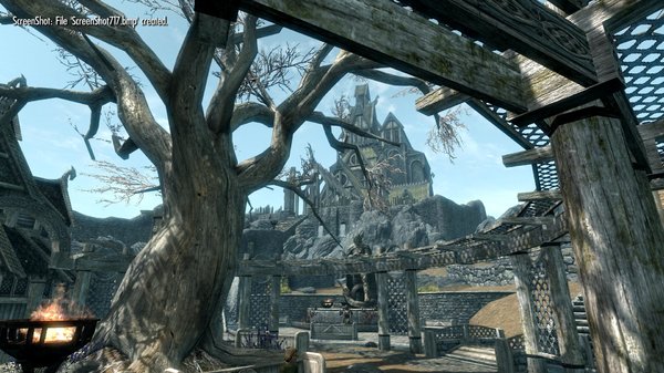 TESV 2021-04-11 14-03-40-61.jpg