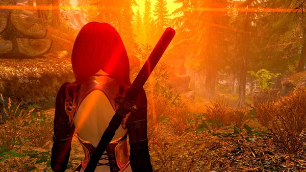 ...... SkyrimSE (сборка 6.0)