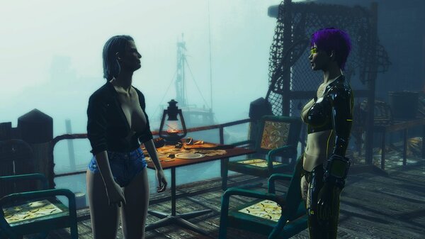 Помоги, мол, старушке.. Fallout-4 (Сборка 6.5)