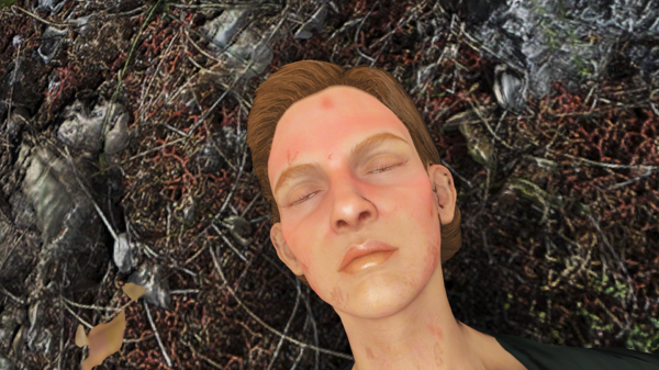 Поселенка после нападения Болотников.