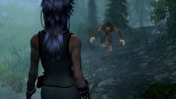 Цири и волколак ;) SkyrimSE (сборка 6.0)