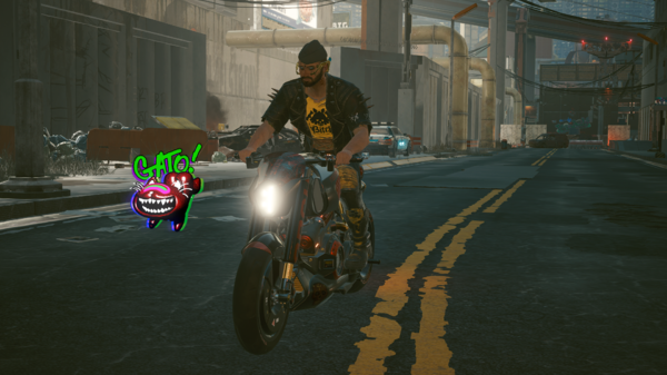 Ви догнал Покемона.