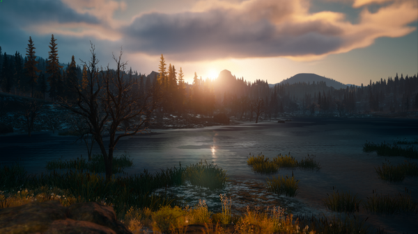 Days Gone Screenshot 2021.06.07 - 18.01.26.32.png