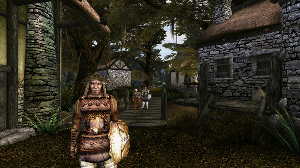 Morrowind sss, День 1, 09.54 0012.png
