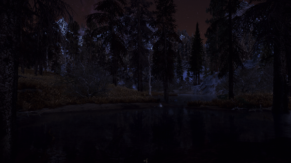 SkyrimSE 2021-06-19 01-57-10-55.png