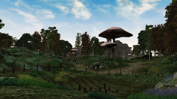 Morrowind 2021-06-14 11.01.49.643.jpg
