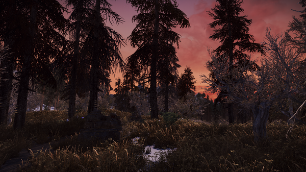 SkyrimSE 2021-06-19 01-55-15-51.png