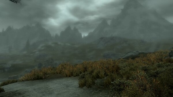 TESV 2021-06-05 15-36-10-38.jpg