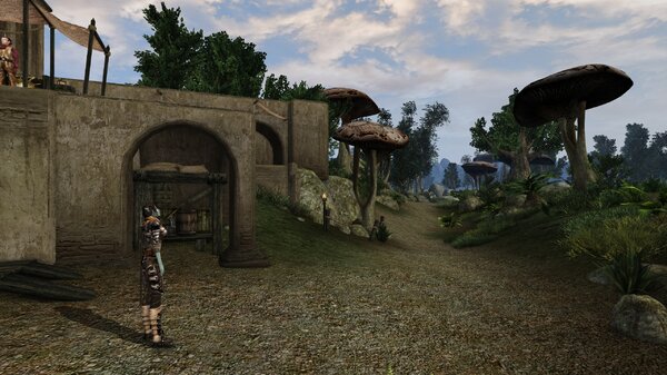Morrowind Aperop, День 209, 09.53 0032.jpg