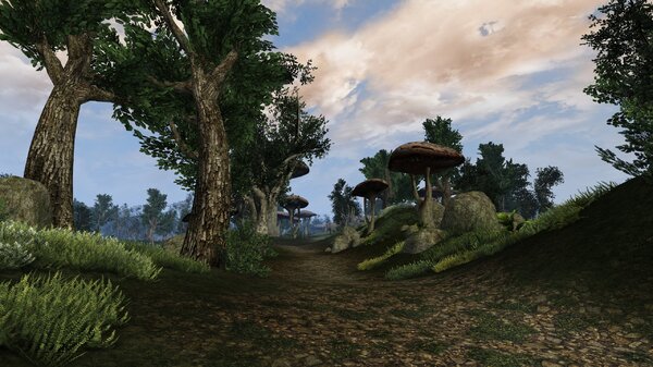 Morrowind Aperop, День 209, 09.43 0030.jpg