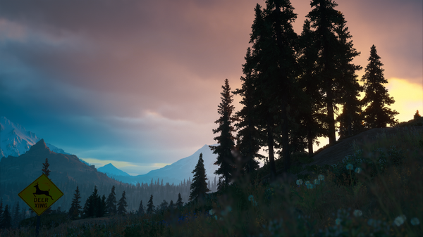 Days Gone Screenshot 2021.05.28 - 22.50.25.62.png