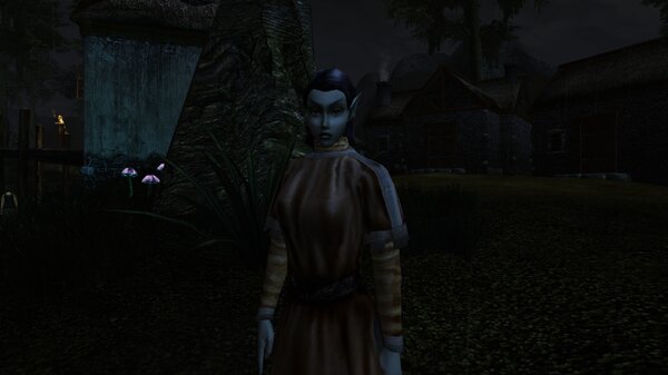 Morrowind 2021-06-14 09.26.54.431.jpg