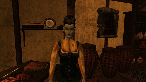 Morrowind 2021-06-14 05.18.43.470.jpg