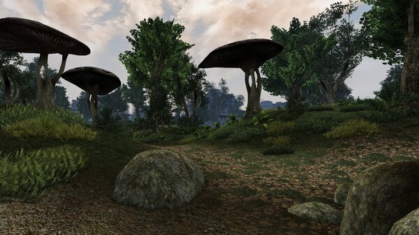 Morrowind Aperop, День 209, 10.02 0036.jpg